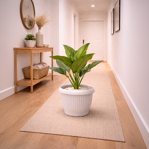 Aglaonema Green in Roma Planter