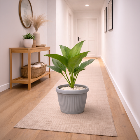 Aglaonema Green in Roma Planter