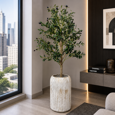 Olive Plant With Planter