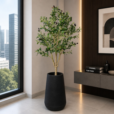 Olive Plant With Planter