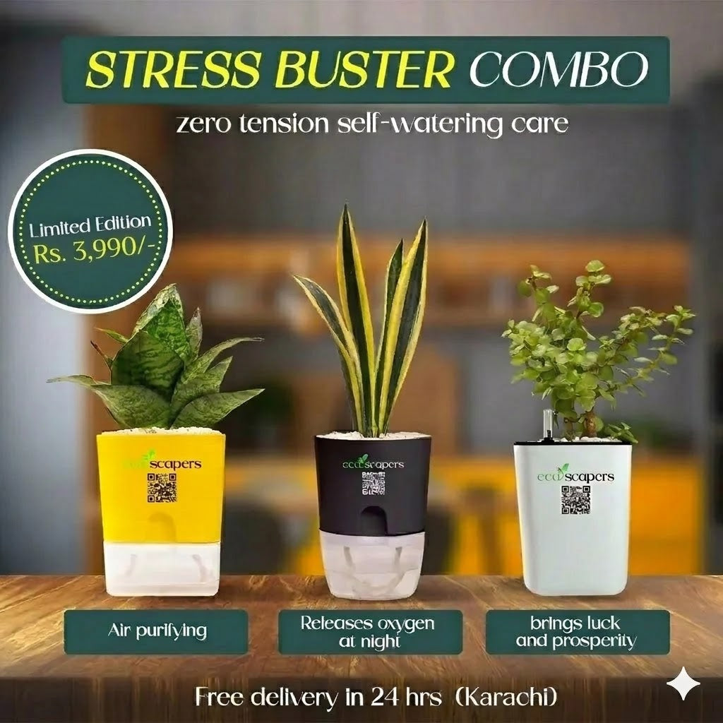 Stress Buster Combo