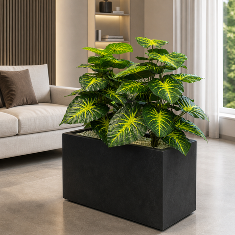 Money Plant (PL1061) With Planter