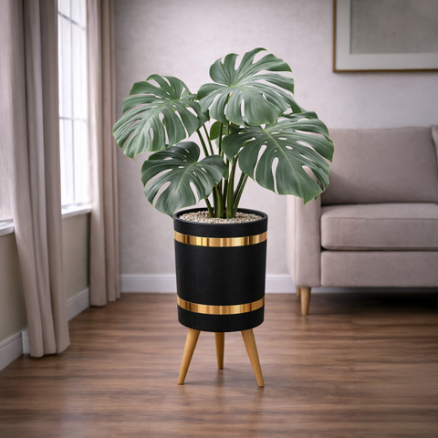 monstera deliciosa Luxury Stand Planter Combo
