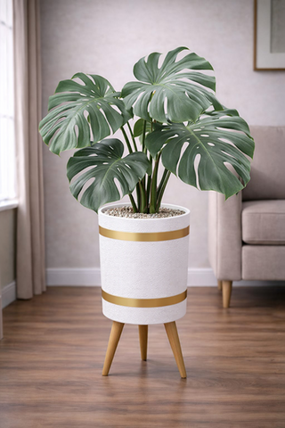 monstera deliciosa – Luxury Stand Planter Combo