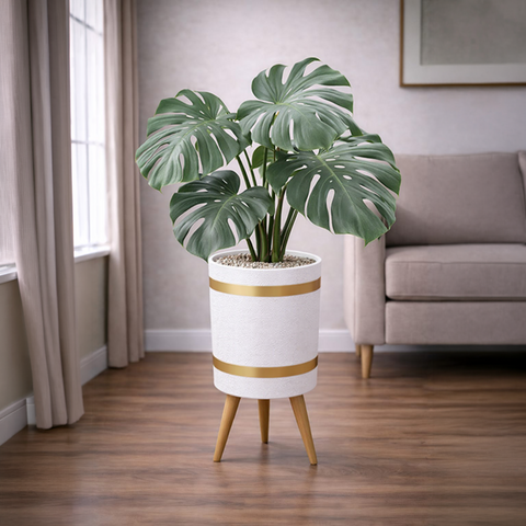 monstera deliciosa Luxury Stand Planter Combo