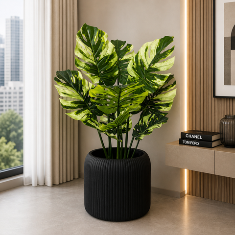 Monstera Plant With Planter