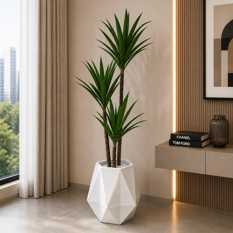 Agave Plant With Planter