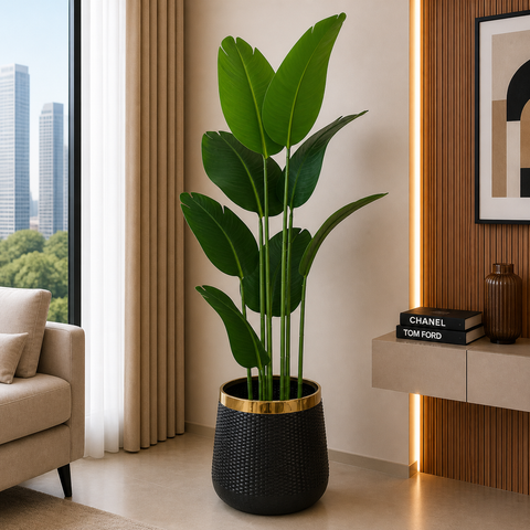 Banana Plant (PL1032) With Planter