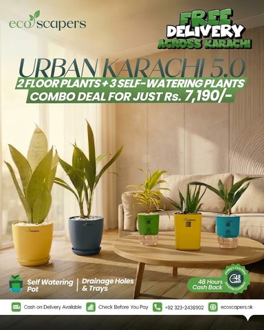 Urban Karachi Offer