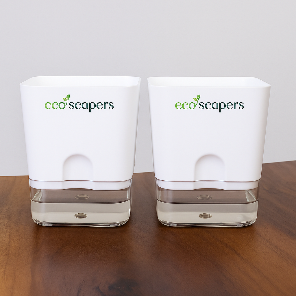 Set of 2 Self Watering Square Pots (Without Plant) | Home Decor, Living Room, Table Top