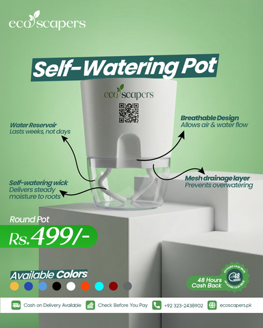 Round Self Watering Pot
