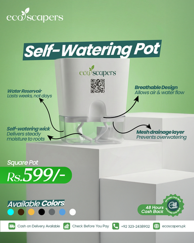 Square Self Watering Pot