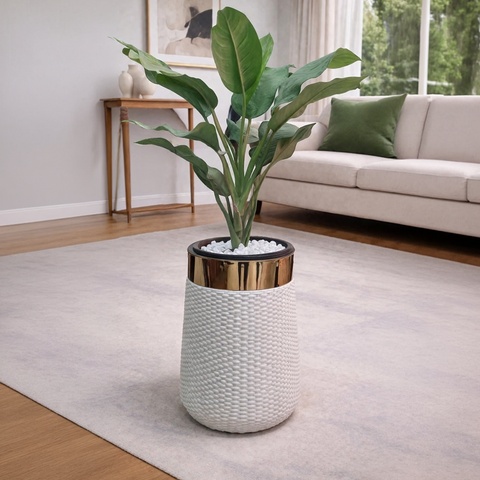 Aglaonema in Luxe Grande Planter