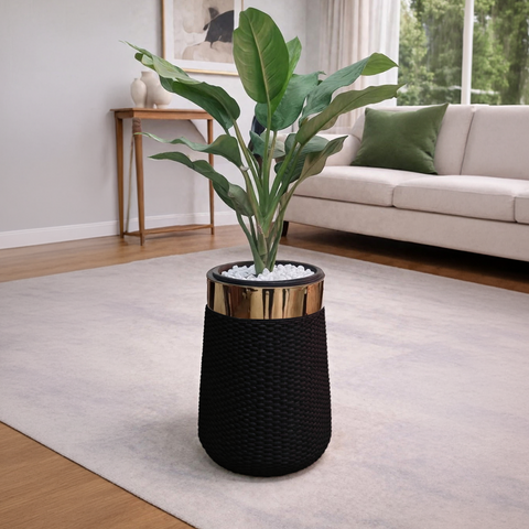 Aglaonema in Luxe Grande Planter