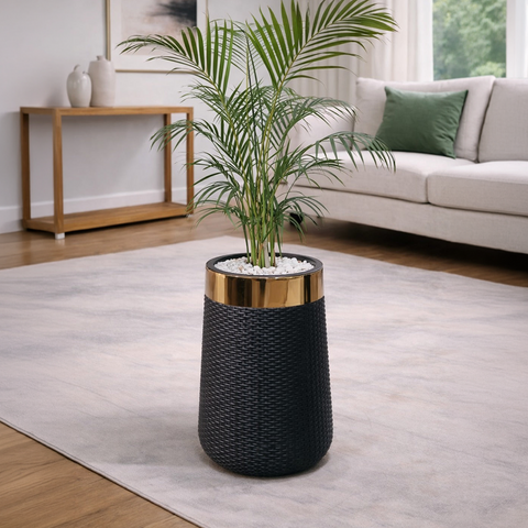 Areca Palm in Luxe Grande Planter