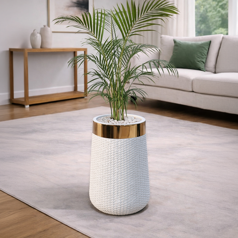 Areca Palm in Luxe Grande Planter