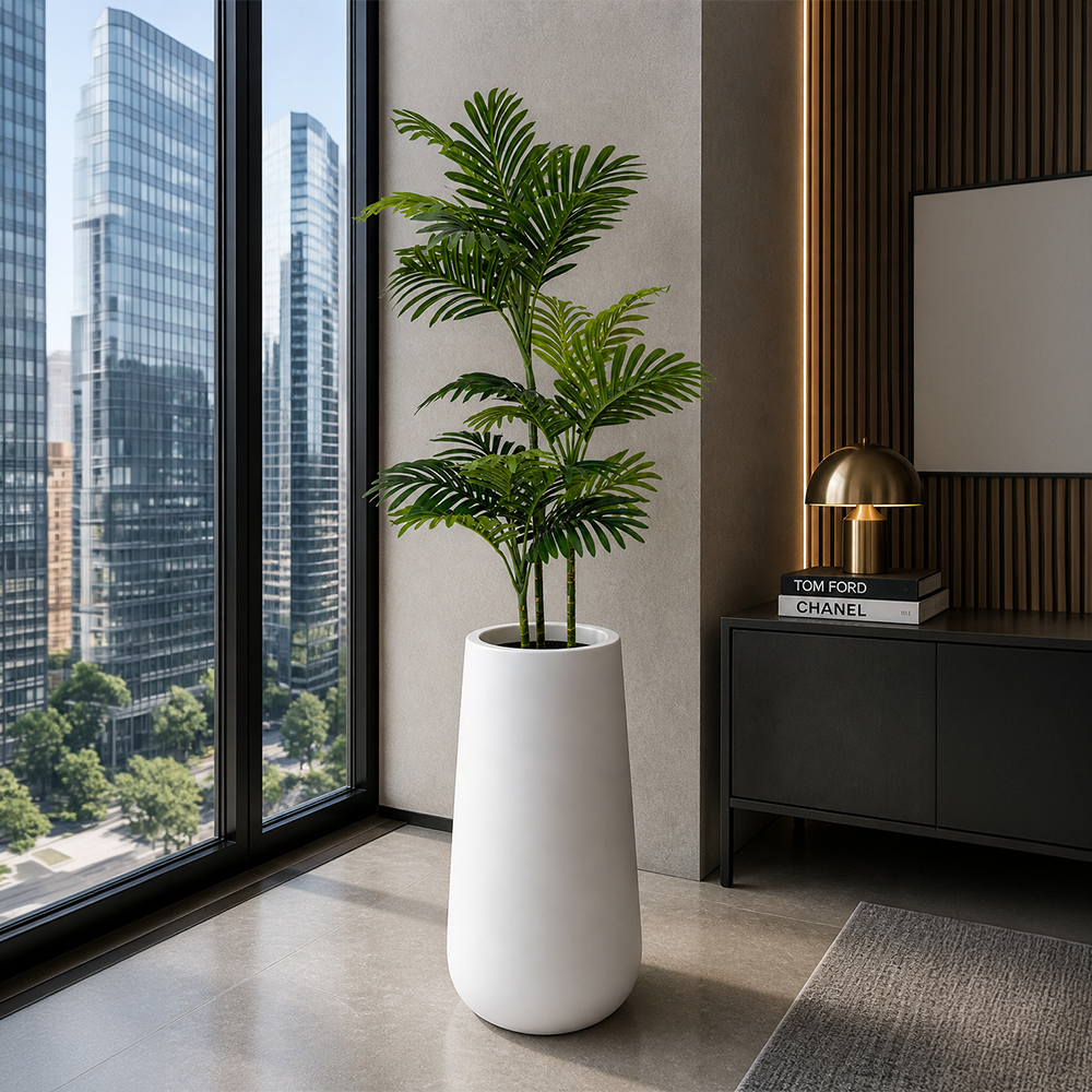 Areca Plant (PL1108)