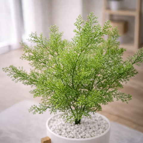 Lifelike Asparagus Fern with Wooden Stand | Indoor Plant Décor Pakistan