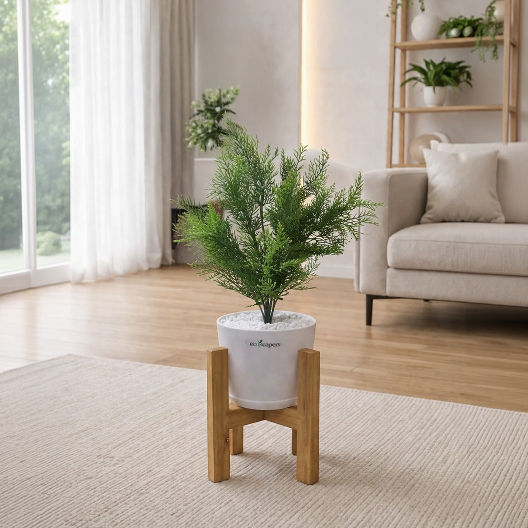 Lifelike Asparagus Fern with Wooden Stand | Indoor Plant Décor Pakistan — EcoScapers Pakistan
