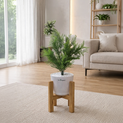 Lifelike Asparagus Fern with Wooden Stand | Indoor Plant Décor Pakistan — EcoScapers Pakistan