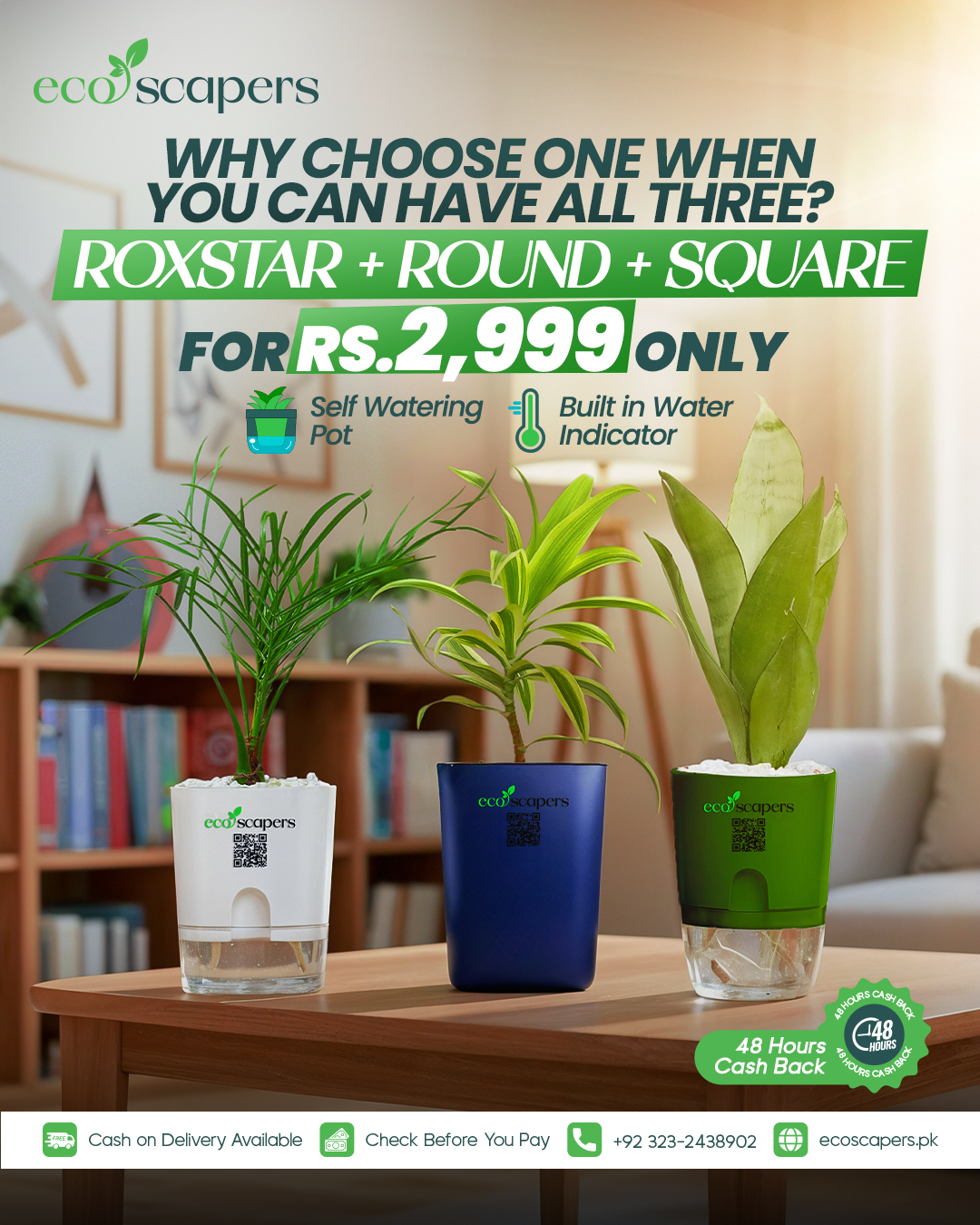 Roxstar + Round + Square