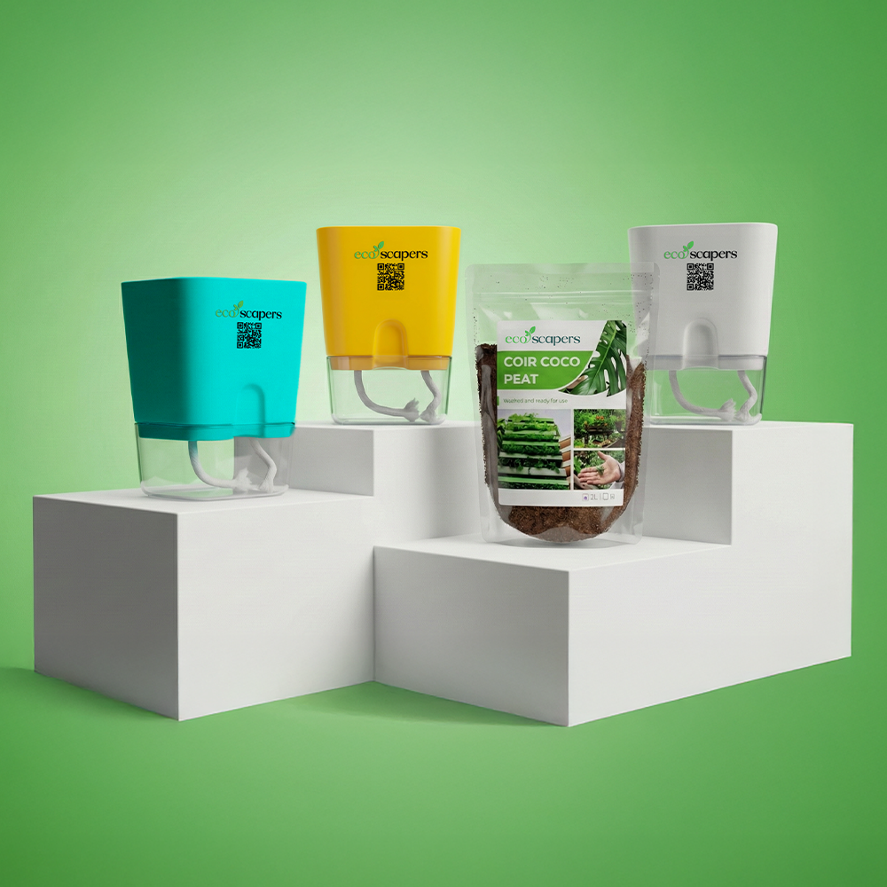 Self Watering Square Pots COMBO