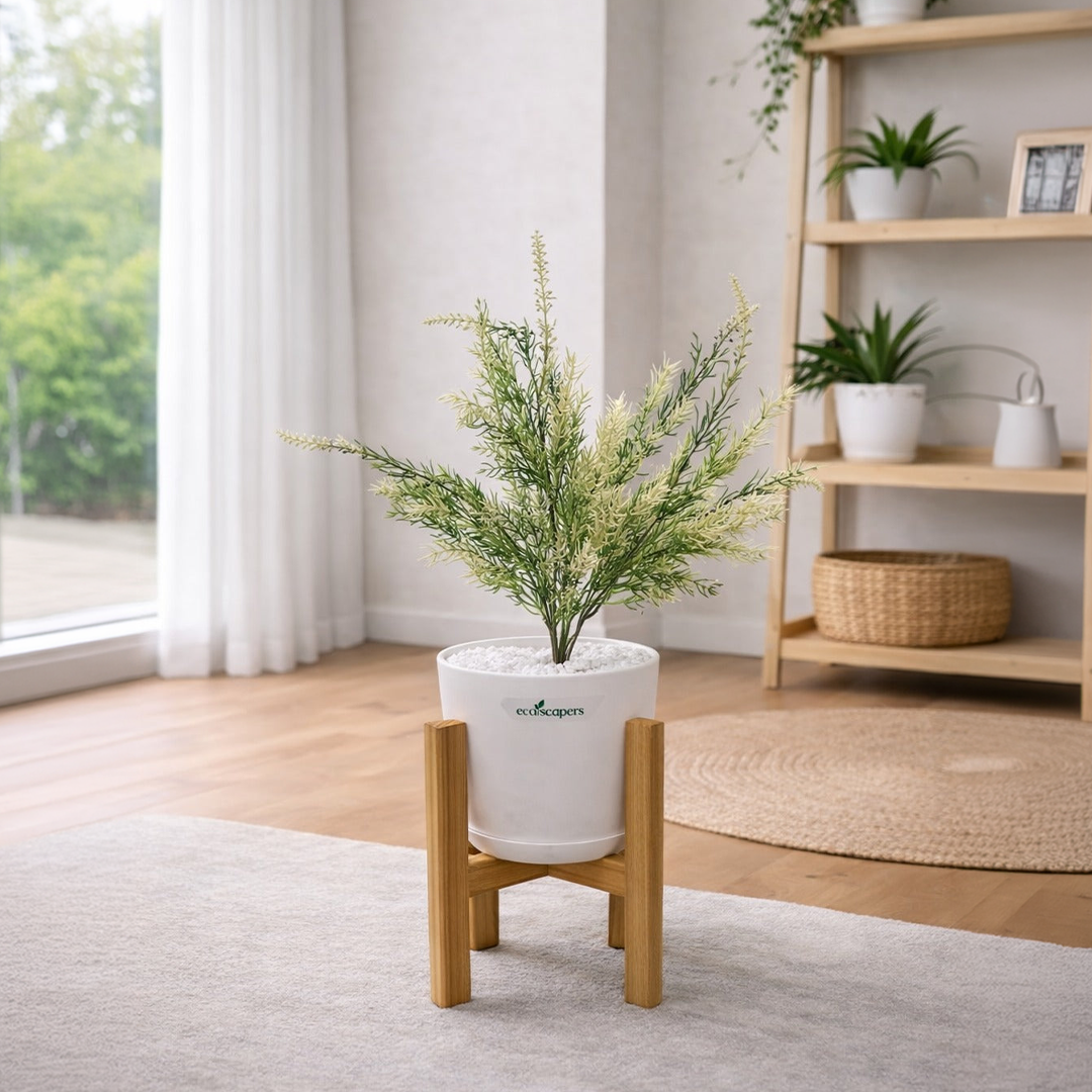 Lifelike Fern (Cream & Green) with Wooden Stand | Indoor Plant Décor Pakistan