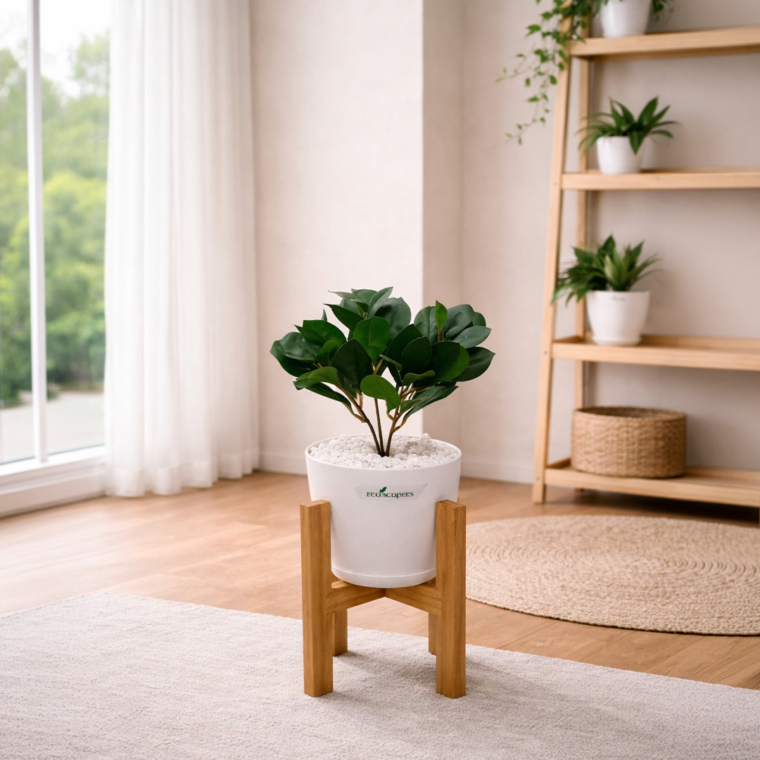 Lifelike Ficus (Light Green) with Wooden Stand | Indoor Plant Décor Pakistan