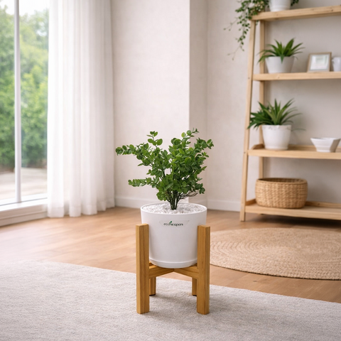 Lifelike Ficus (Light Green) with Wooden Stand | Indoor Plant Décor Pakistan