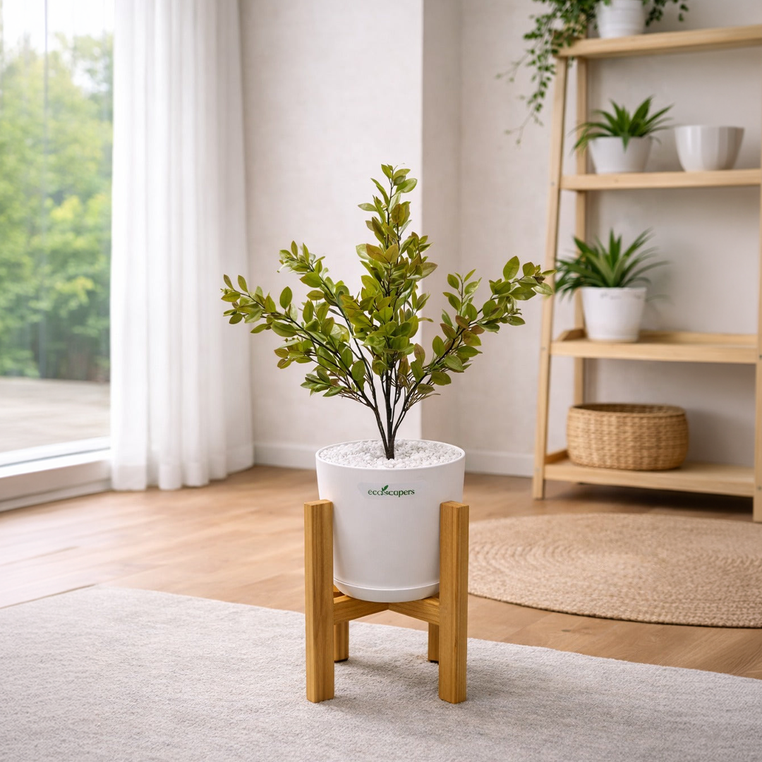 Lifelike Ficus (Light Green) with Wooden Stand | Indoor Plant Décor Pakistan — EcoScapers Pakistan