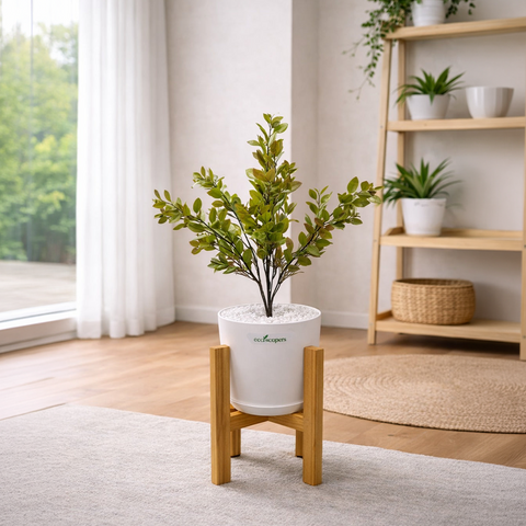 Lifelike Ficus (Light Green) with Wooden Stand | Indoor Plant Décor Pakistan — EcoScapers Pakistan