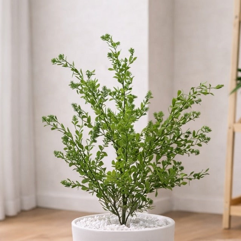 Lifelike Ficus (Light Green) with Wooden Stand | Indoor Plant Décor Pakistan