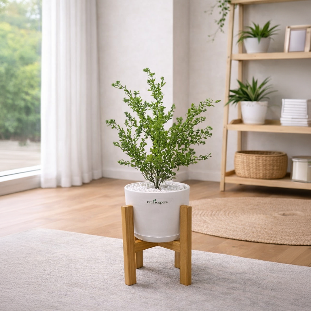 Lifelike Ficus (Light Green) with Wooden Stand | Indoor Plant Décor Pakistan