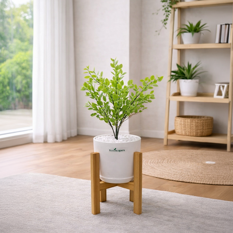 Lifelike Ficus (Light Green) with Wooden Stand | Indoor Plant Décor Pakistan