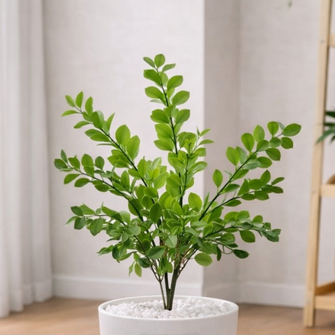 Lifelike Ficus (Light Green) with Wooden Stand | Indoor Plant Décor Pakistan