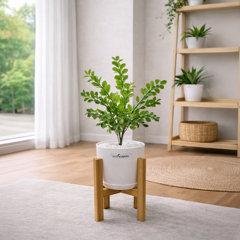 Lifelike Ficus (Light Green) with Wooden Stand | Indoor Plant Décor Pakistan