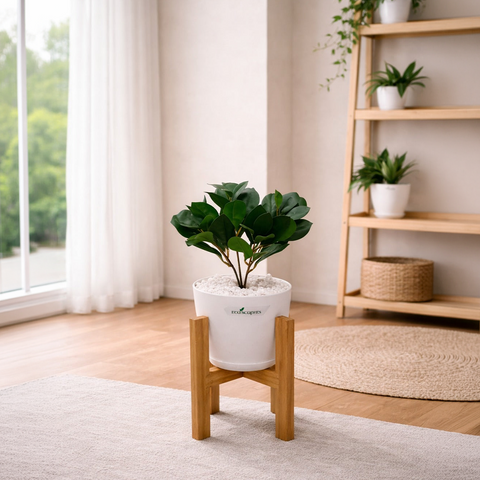 Lifelike Ficus (Light Green) with Wooden Stand | Indoor Plant Décor Pakistan