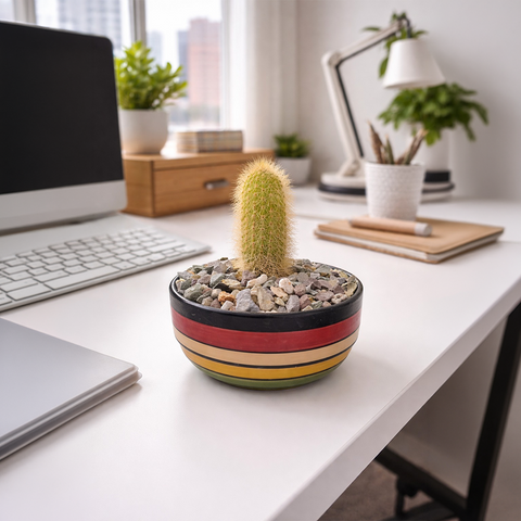Golden Columnar Cactus in Designer Dish – Modern Desk Plant