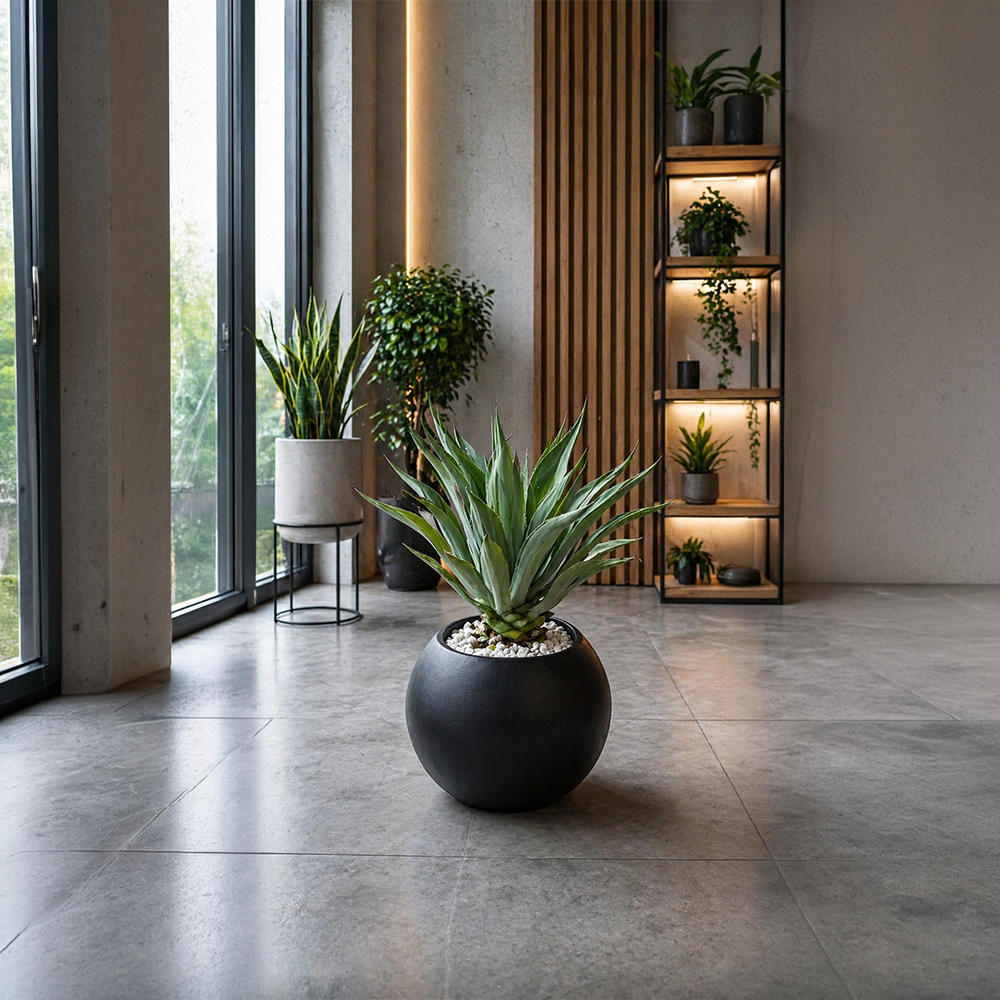 AGAVE in OrbIX Planter