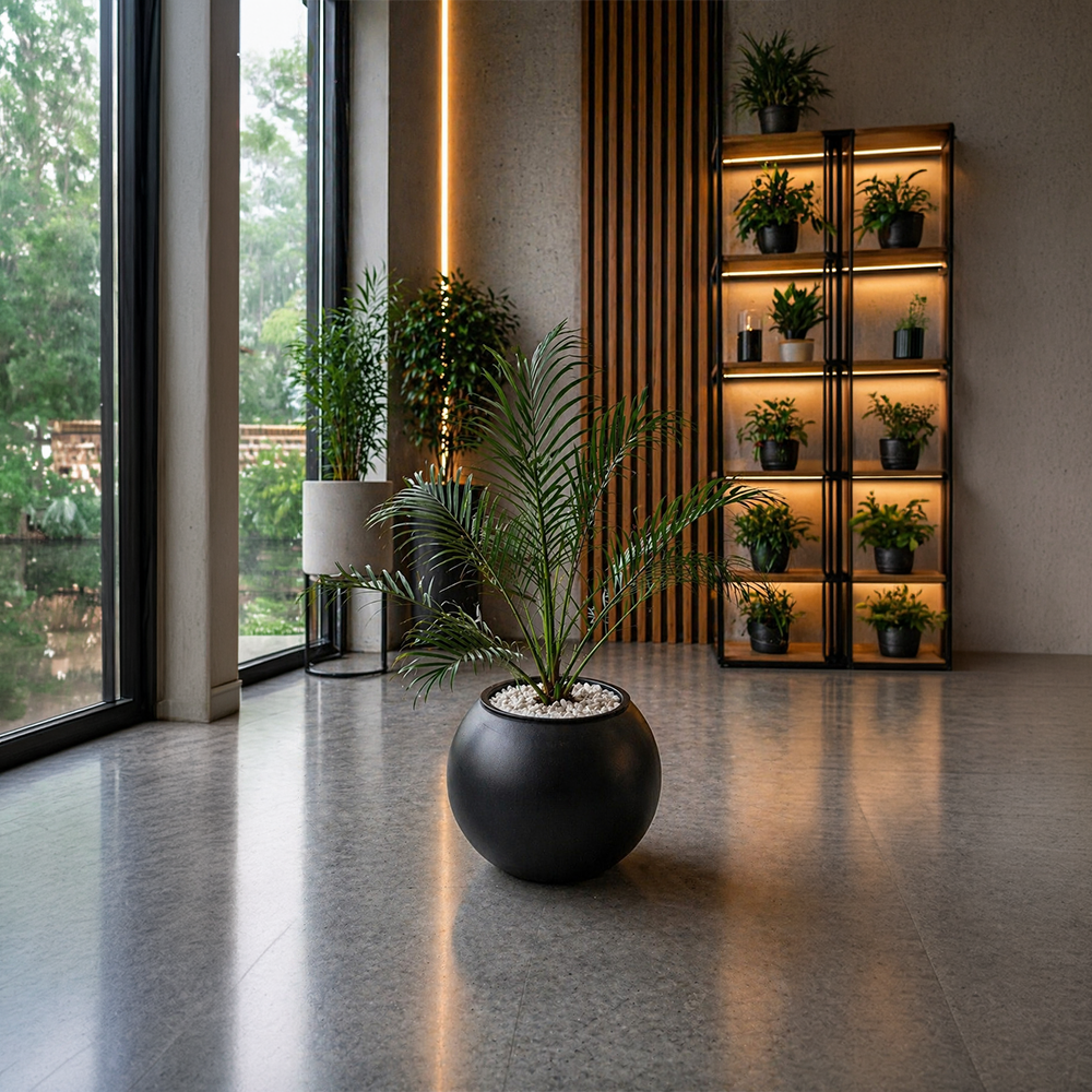 PHOENIX in OrbIX Planter