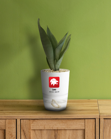 LEO-SANSEVERIA MOONLIGHT