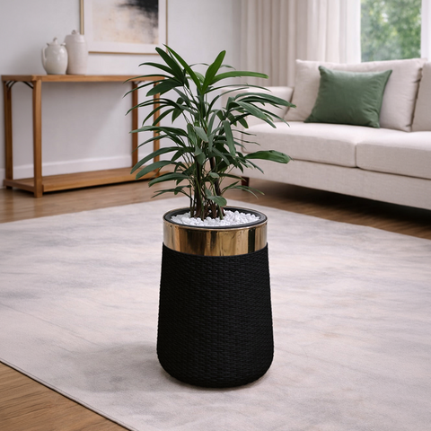 Lady Palm in Luxe Grande Planter