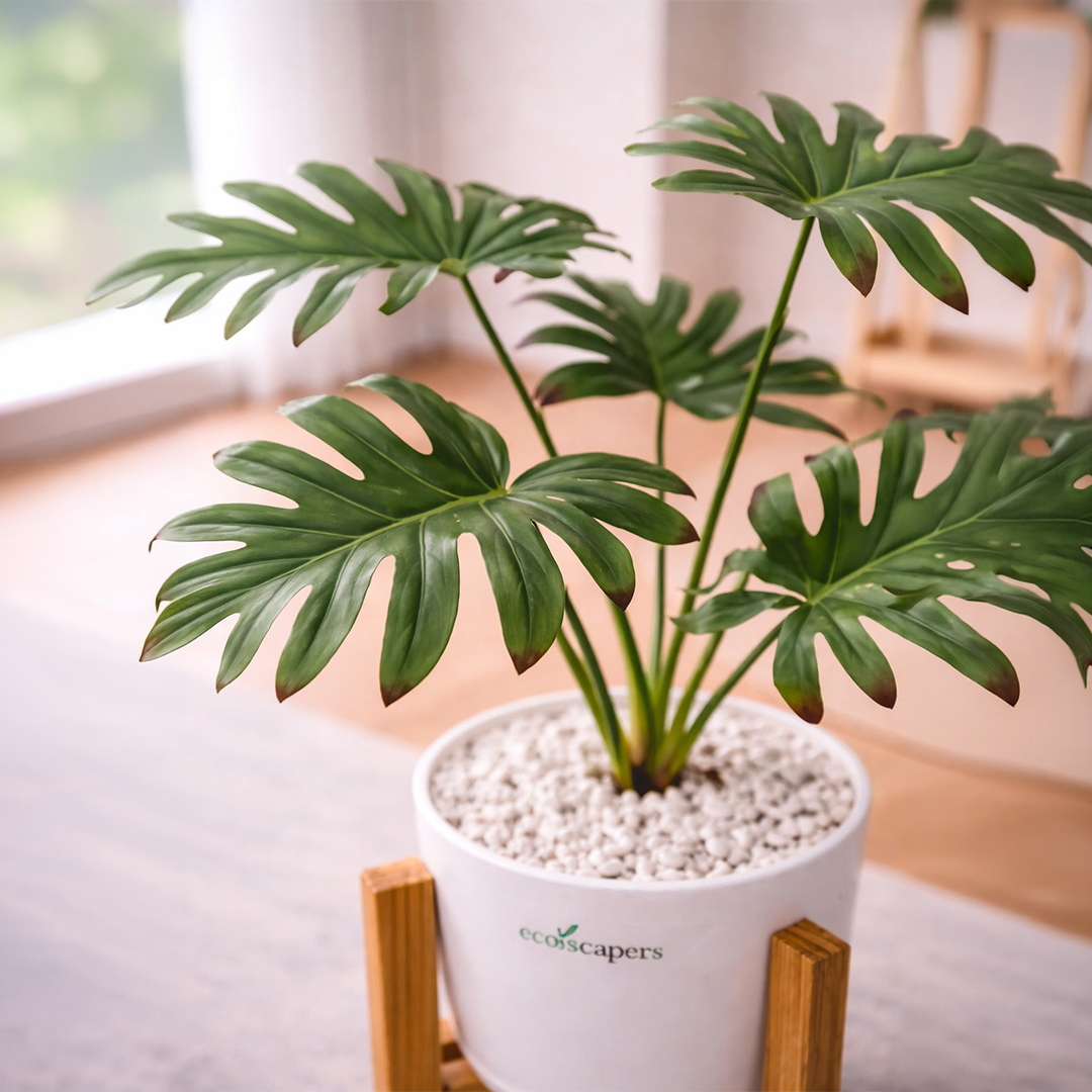 Monstera Deliciosa (LIFELIKE) with Wooden Stand | Indoor Plant Décor Pakistan