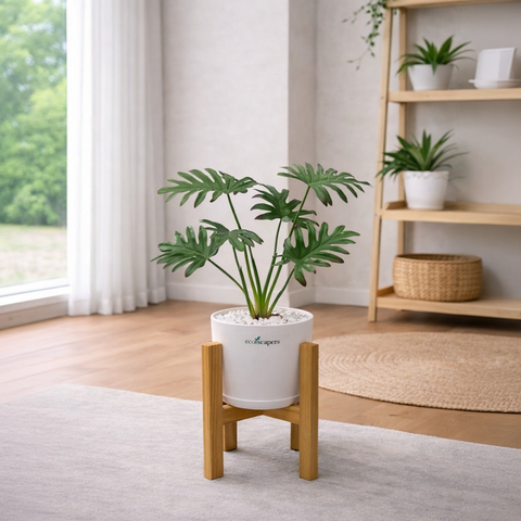 Monstera Deliciosa (LIFELIKE) with Wooden Stand | Indoor Plant Décor Pakistan