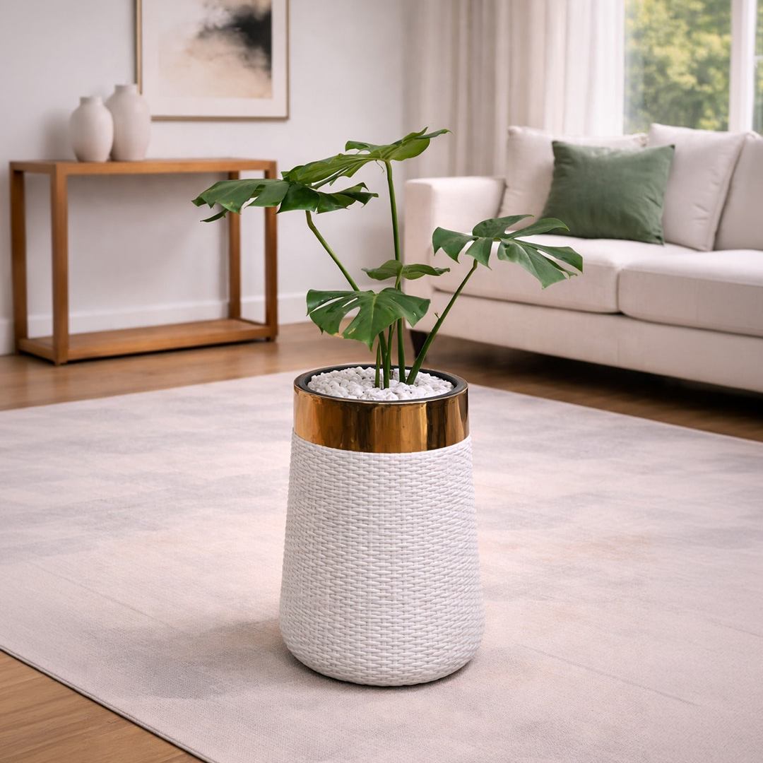 Monstera in Luxe Grande Planter