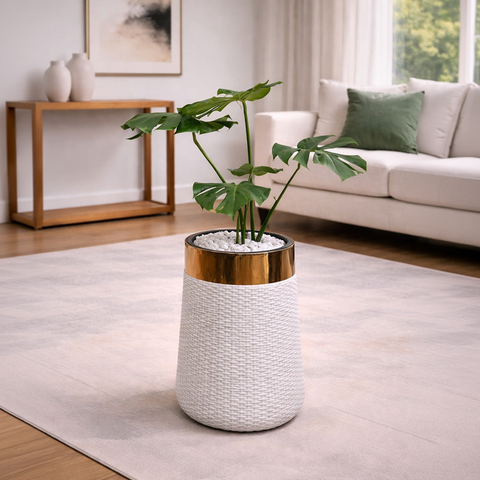 Monstera in Luxe Grande Planter