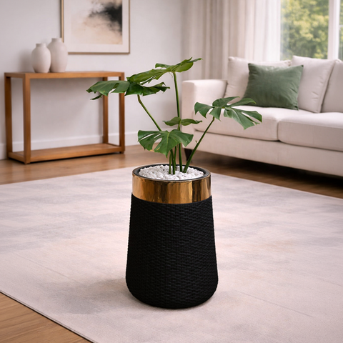 Monstera in Luxe Grande Planter