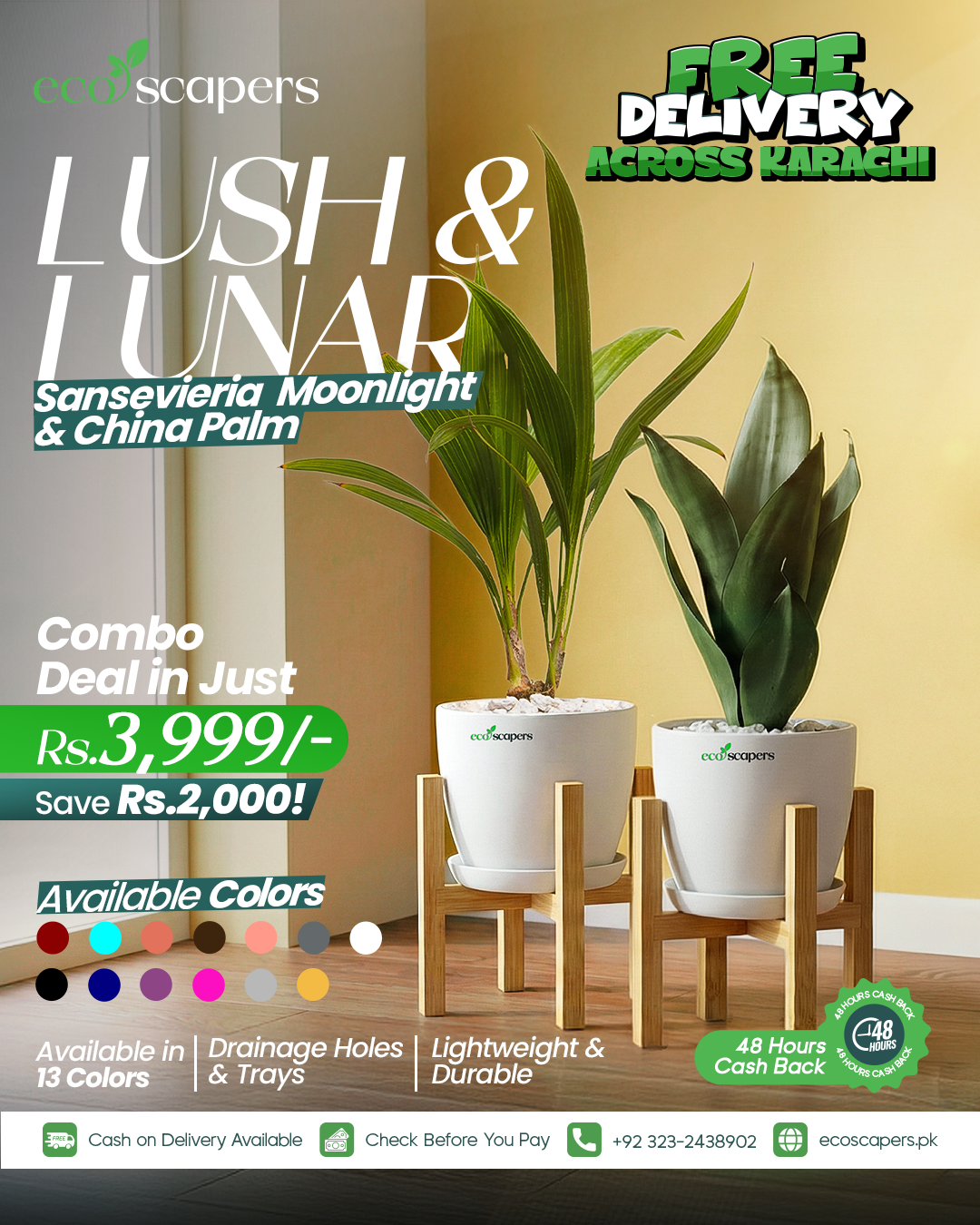 Indoor Green Plants Combo  Sansevieria & China Palm