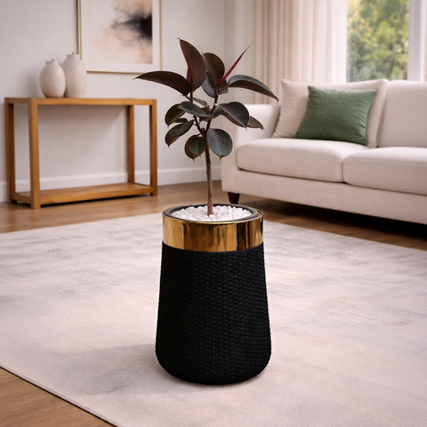 Rubber Plant in Luxe Grande Planter