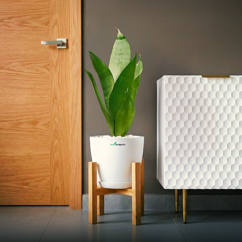 Wooden Stand - Indoor Plant Stand ((Pots & Plants Not Included)
